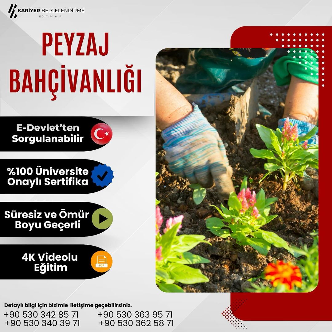 PEYZAJ BAHÇİVANLIĞI