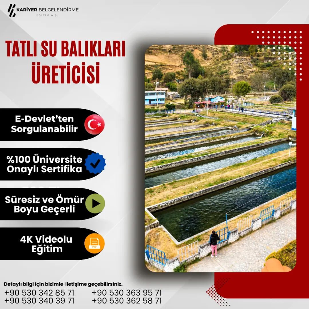 TATLI SU BALIKLARI ÜRETİCİSİ